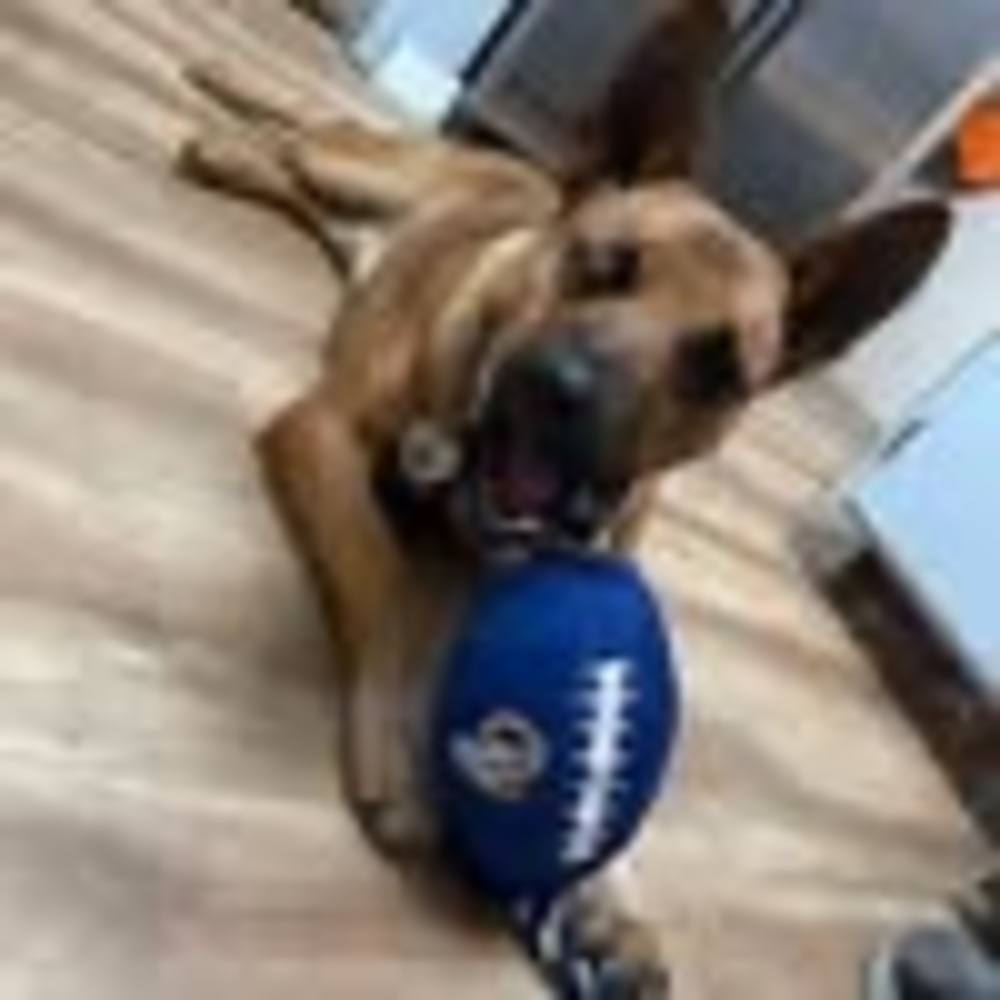 Meet your Posher, Deena